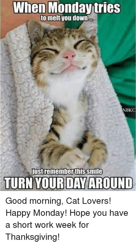 Grumpy cat good job meme. 25+ Best Memes About Short Work Week | Short Work Week Memes