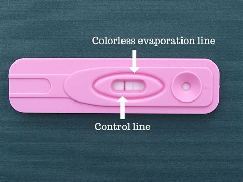 two horizontal lines on a pregnancy test guidedwoman