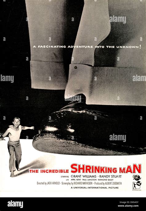 The Incredible Shrinking Man Stock Photo Alamy