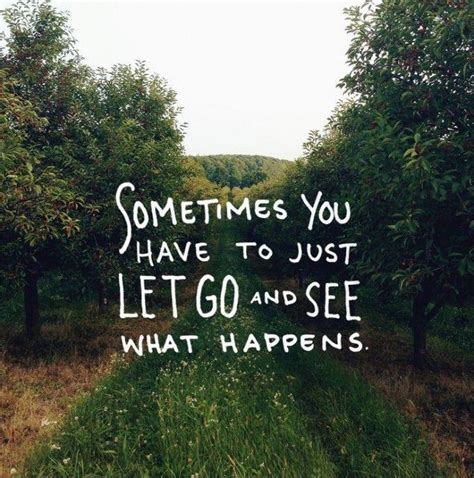 Sometimes You Have To Just Let It Go And See What Happens Quote 1