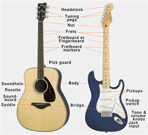 Anatomy Of The Guitar