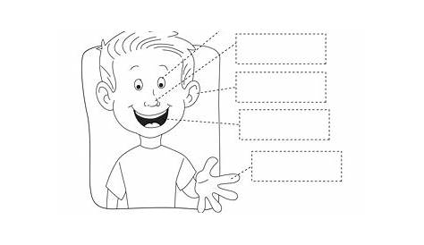 Free Five Senses Worksheets for Kids | 5 Senses Craft
