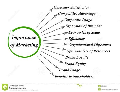 Importance of Marketing stock illustration. Illustration of owner ...