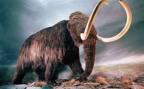 Top 10s Top 10 Ancient Animals Of The World