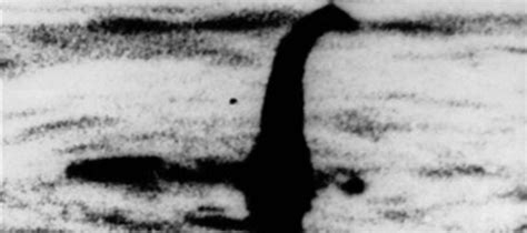 Il Mostro Di Loch Ness Era In Realt Un Enorme Anguilla