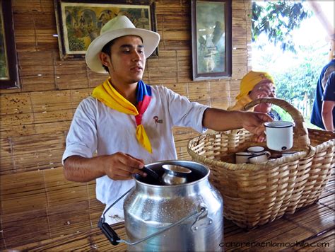 Que Ver En El Eje Cafetero De Colombia Descubriendo Los Willys Los Cafetales Y La Cultura