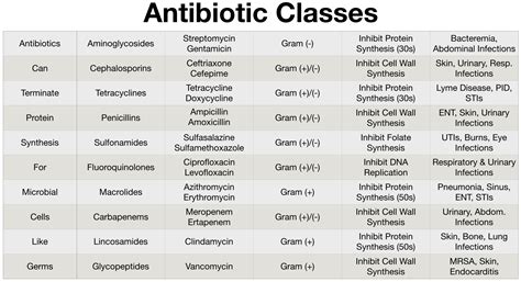 Antibiotic Class Chart Drug Name List Coverage Mechanism Of Action