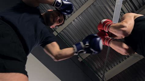 Two Boxer Fighting On Boxing Ring Low Angle Stock Footage SBV Storyblocks
