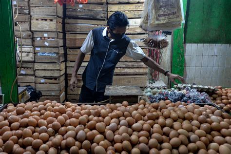 Harga Telur Anjlok Terpicu Kelebihan Pasokan Ekonomi Dan Bisnis