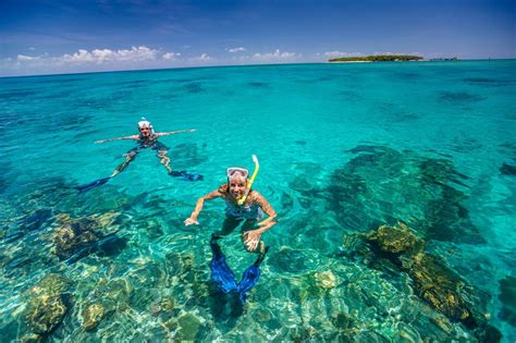 Great Barrier Reef Tours Cairns Packages