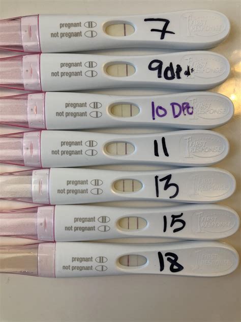 First Response Pregnancy Tests Garetguitar