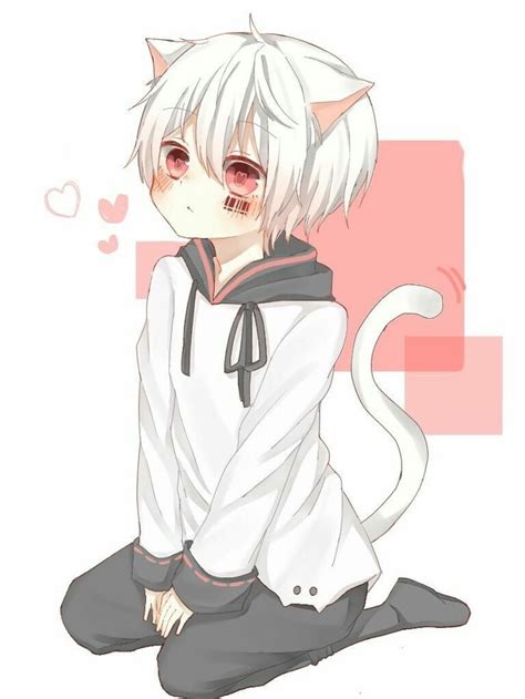 Pin De Naomi Ai En Neko《anime》 Gato Anime Chibi Anime Neko Boy