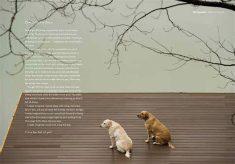 A Letter To My Dog Notes To Our Best Friends By Robin Layton Lisa