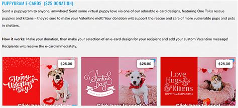 25 Lovely Valentines Day Fundraising Ideas That Work Tips Ecardwidget