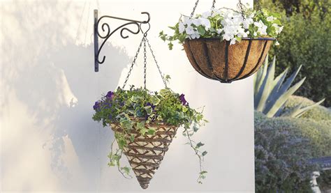 Hanging basket | Hanging plants, Hanging baskets diy, Hanging baskets