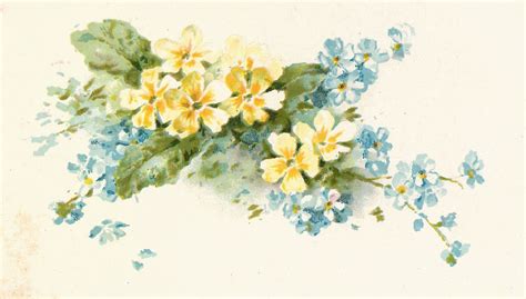 Antique Images Free Flower Graphic Vintage Illustration Of Blue And