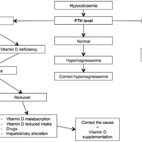 Algorithm Of Hypokalemia Management 48129 139 In The Case Of