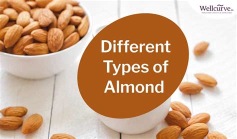 Types Of Almonds Different Varieties Of Almonds Name List