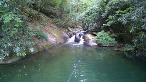 A genuine surf shop and snack bar combined, eclectic sun offers on the lake, boat rentals and sales, ice cream, snacks & souvenirs, area. Tubing on Lake Jocassee SC - Picture of Devils Fork State ...