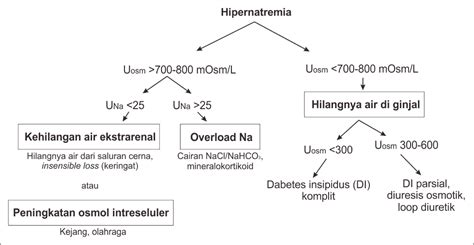 Hipernatremia Diagnosis Tatalaksana Kedokteran Caiherang