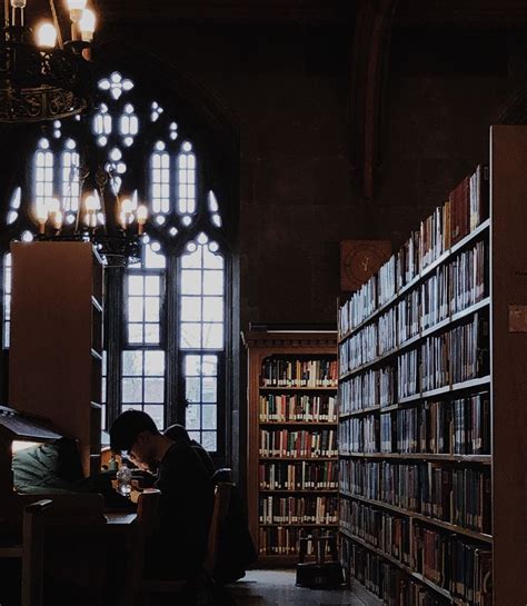 Library Dark Academia Study