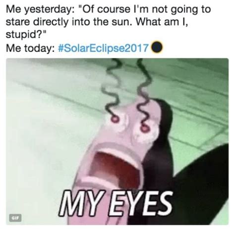 Eclipse Is Nothing Without The Memes About It 32 Pics