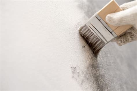 The 7 Best Cement And Concrete Paints To Use In 2021 Mymove