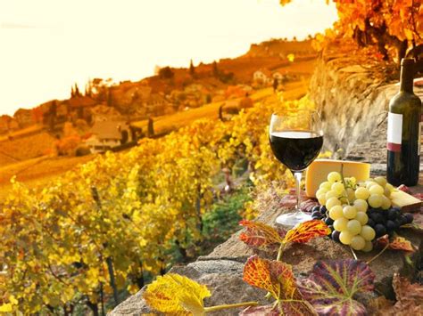 Top 5 Tours To Visit Tuscany In Autumn