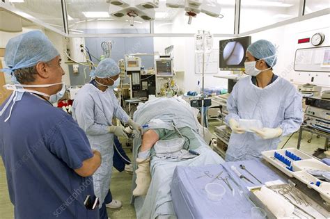 When the knee shows no signs of osteoarthritis, it is classified as stage 0, which is normal knee health, with no known impairment or signs of joint damage. Knee arthroscopy - Stock Image - C016/9884 - Science Photo ...