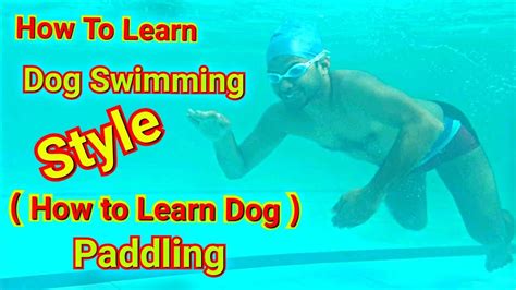 How To Learn Dog Paddle How To Learn Dog Style Swimmingn Part 3🏊‍♂