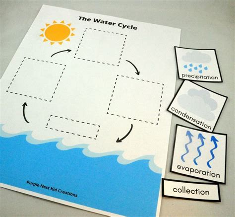 The Water Cycle Worksheet For Kids To Learn How To Read And Understand It