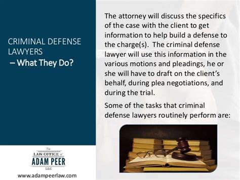 25 Criminal Defense Lawyer Description Background Criminal Defence