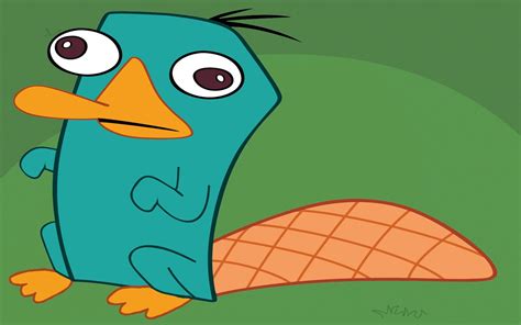Agent P Perry The Platypus Perry The Platypus Cartoon Pics Hot Sex