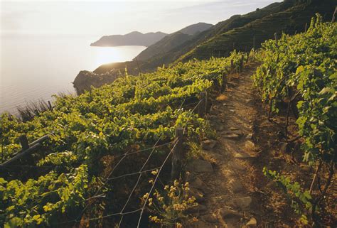 Hiking The Cinque Terre Trails In Italy
