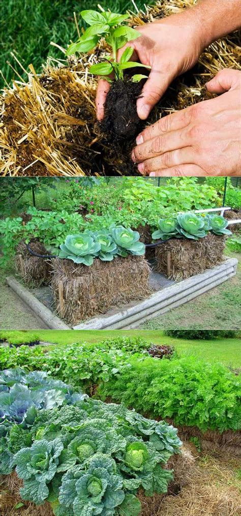 28 Most Amazing Raised Bed Gardens With Different