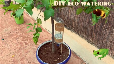 How To Diy Self Watering System For Plants Or Trees Self Watering