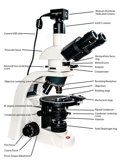 Polarization Microscopy The Motic Ba310 Polarizing Microscope A Review
