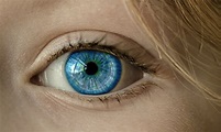 Come funzionano l'occhio e la vista - FocusJunior.it