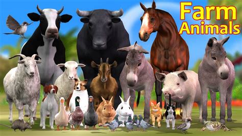 Farm Animals For Kids Learn Farm Animal Names Youtube