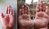Simian Line In Palmistry - Comparison analysis - Palmist Manish