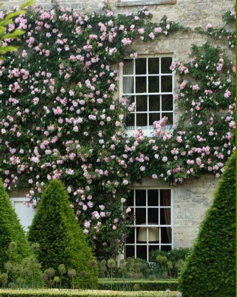 A Beautiful Fa Ade Covered With Climbing Roses Designed With A Parterre