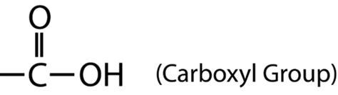 Carboxylic Acids Ck 12 Foundation