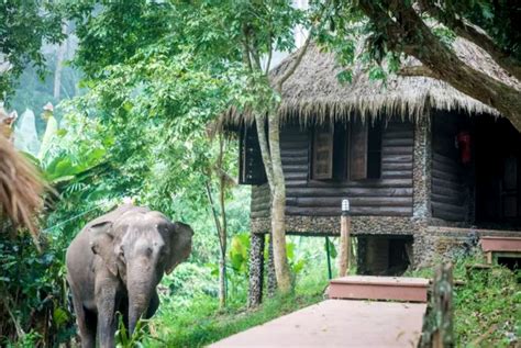 Hut Rental Near Doi Inthanon National Park Thailand
