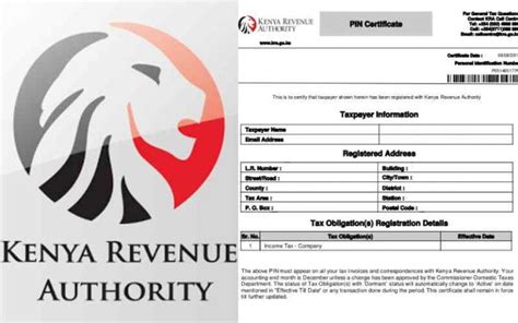 How To Apply For Kra Pin Online Ottovon Onsinsi