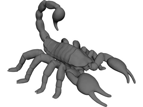 Scorpion 3d Model 3dcadbrowser