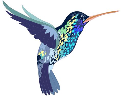 Clip Art Hummingbird 20 Free Cliparts Download Images On Clipground 2023