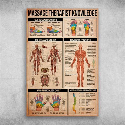 Massage Therapist Knowledge Foot Reflexology Chart The Muscular System