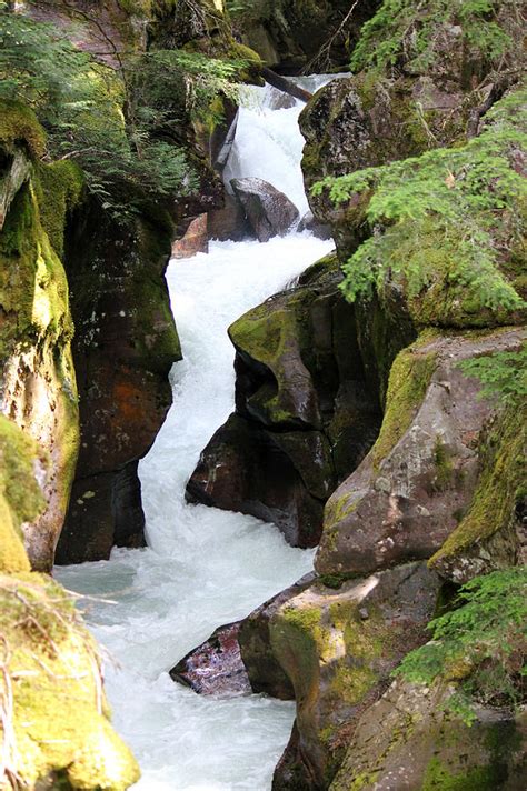 Avalanche Creek Glacier Np Photograph By Connie Zarn Fine Art America