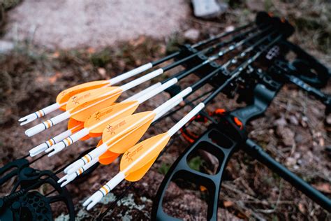 Top 10 Best Hunting Arrows For 2022 Reviews And Guide