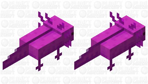 Purple Axolotl Minecraft Mob Skin
